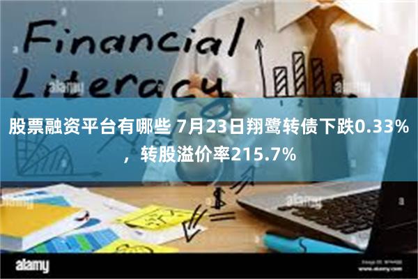 股票融资平台有哪些 7月23日翔鹭转债下跌0.33%，转股溢价率215.7%