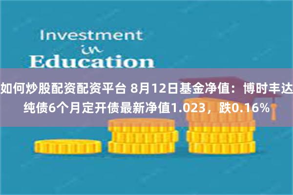 如何炒股配资配资平台 8月12日基金净值：博时丰达纯债6个月定开债最新净值1.023，跌0.16%