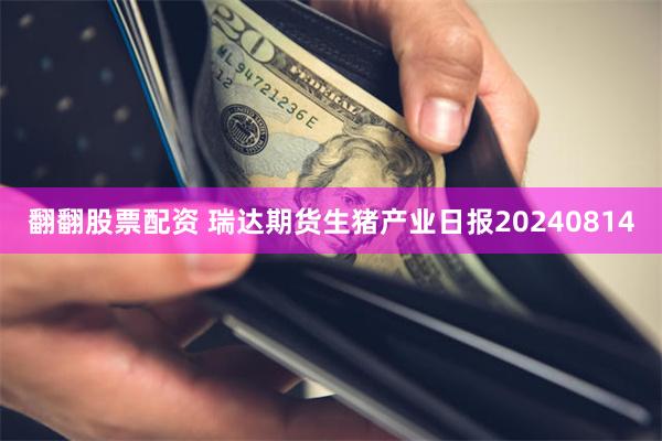 翻翻股票配资 瑞达期货生猪产业日报20240814