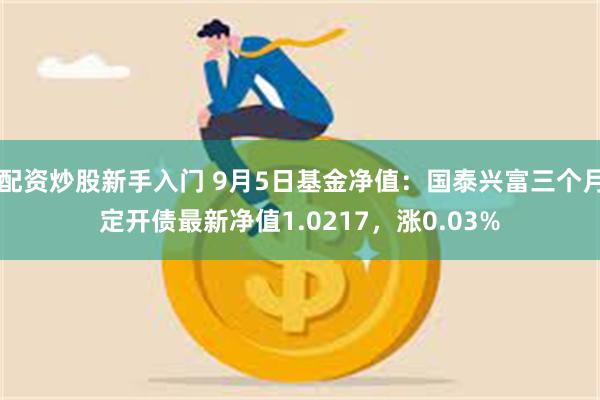 配资炒股新手入门 9月5日基金净值：国泰兴富三个月定开债最新净值1.0217，涨0.03%