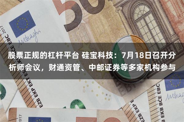 股票正规的杠杆平台 硅宝科技：7月18日召开分析师会议，财通资管、中邮证券等多家机构参与