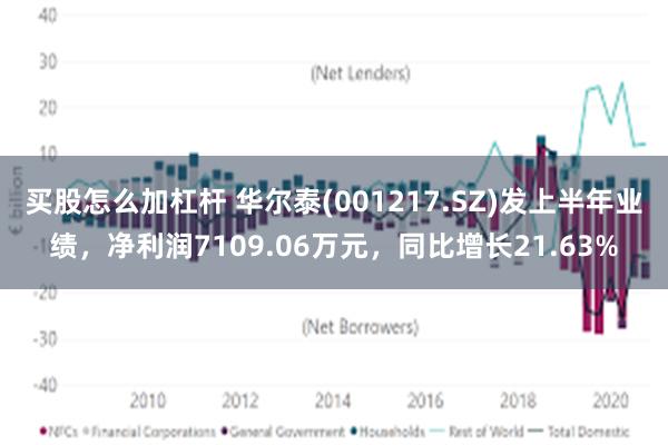 买股怎么加杠杆 华尔泰(001217.SZ)发上半年业绩，净利润7109.06万元，同比增长21.63%