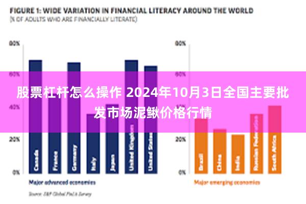 股票杠杆怎么操作 2024年10月3日全国主要批发市场泥鳅价格行情