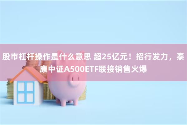 股市杠杆操作是什么意思 超25亿元！招行发力，泰康中证A500ETF联接销售火爆