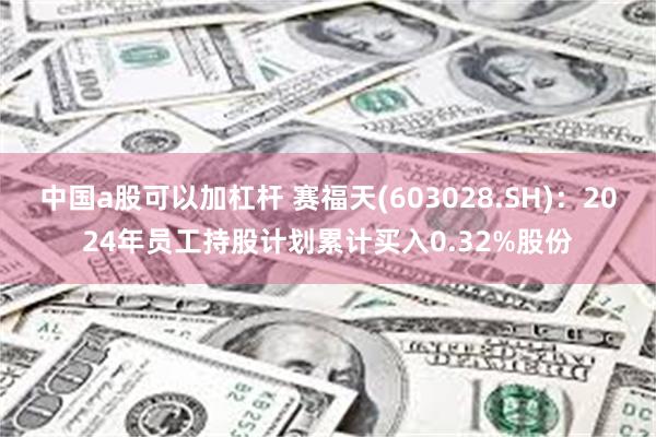 中国a股可以加杠杆 赛福天(603028.SH)：2024年员工持股计划累计买入0.32%股份