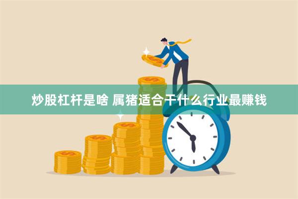 炒股杠杆是啥 属猪适合干什么行业最赚钱