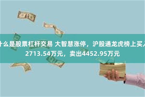 什么是股票杠杆交易 大智慧涨停，沪股通龙虎榜上买入2713.54万元，卖出4452.95万元