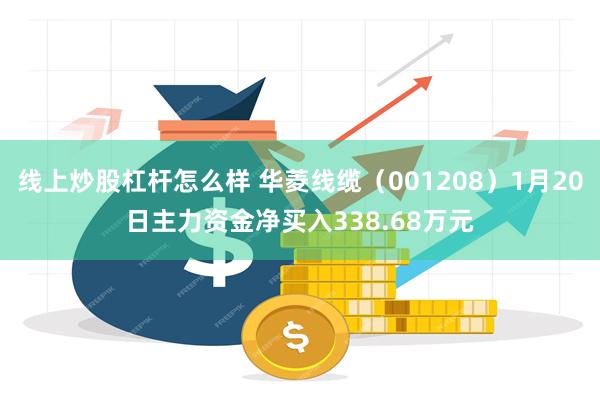 线上炒股杠杆怎么样 华菱线缆（001208）1月20日主力资金净买入338.68万元