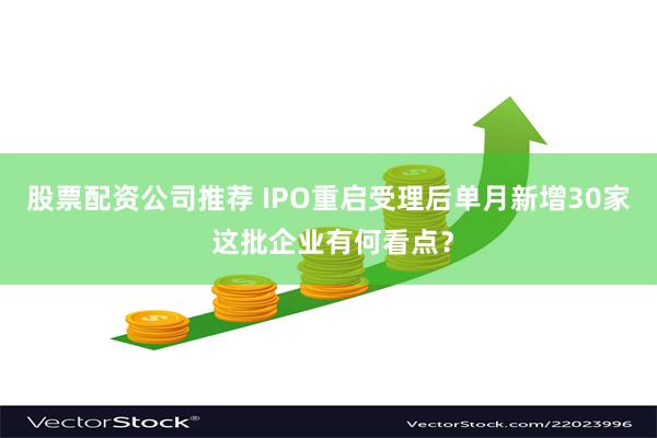 股票配资公司推荐 IPO重启受理后单月新增30家 这批企业有何看点？