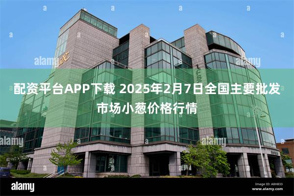 配资平台APP下载 2025年2月7日全国主要批发市场小葱价格行情